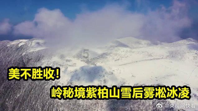尼弗卡拉遗址