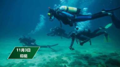 山东确定16个县（市、区）为人才引领县域高质量发展试点县（市、区）